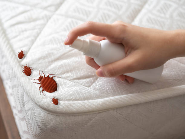 Pest Control Cost in Chico, WA